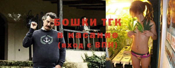 винт Абаза