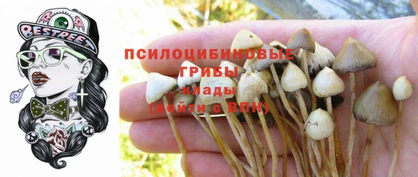 крисы Абинск
