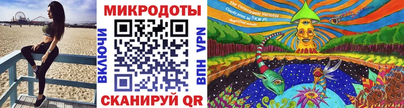 купить наркотики цена  Моршанск  Псилоцибиновые грибы мицелий 