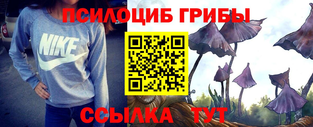 Моршанск  где можно купить   Вход с VPN  Галлюциногенные грибы мицелий 