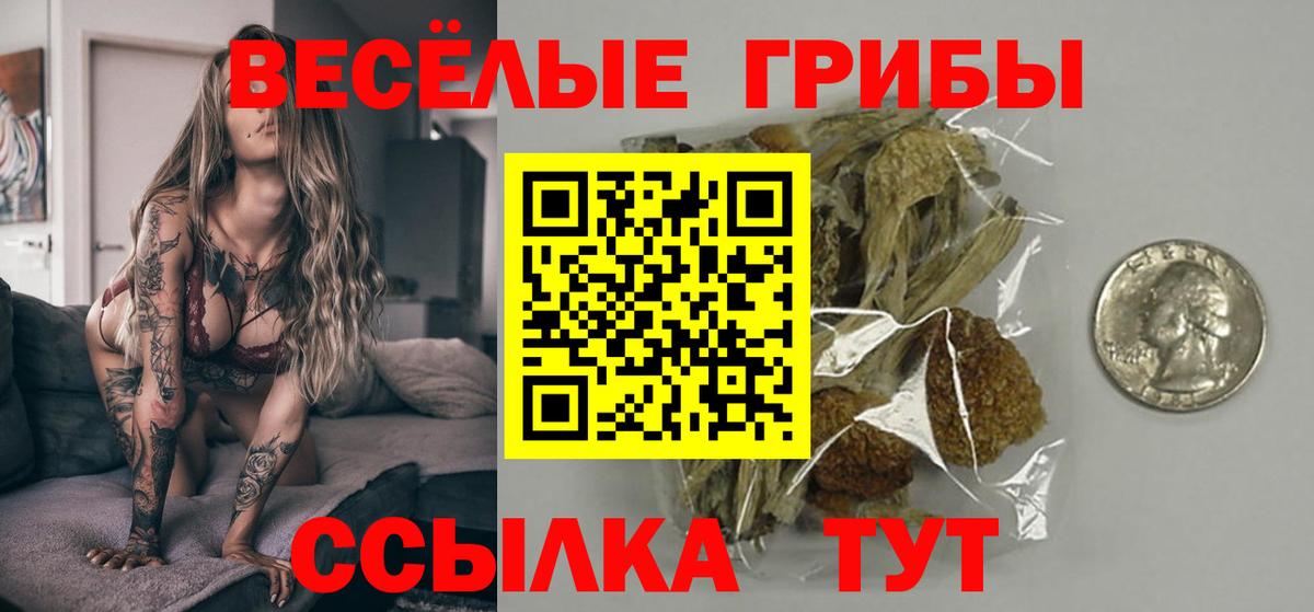 Галлюциногенные грибы прущие грибы Моршанск